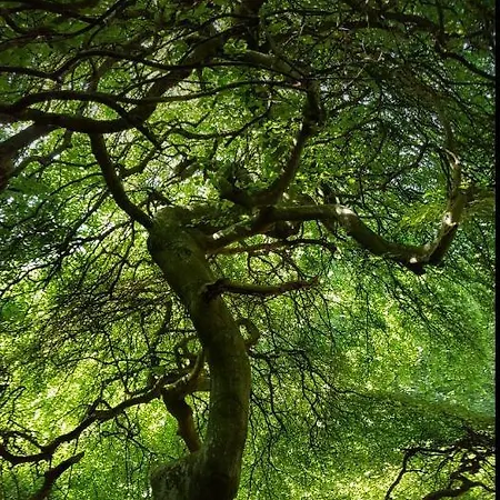 Naehe Altstadt Appartement