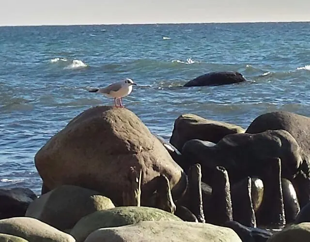 아파트 Naehe Altstadt