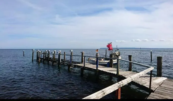 Naehe Altstadt 아파트 사스니츠