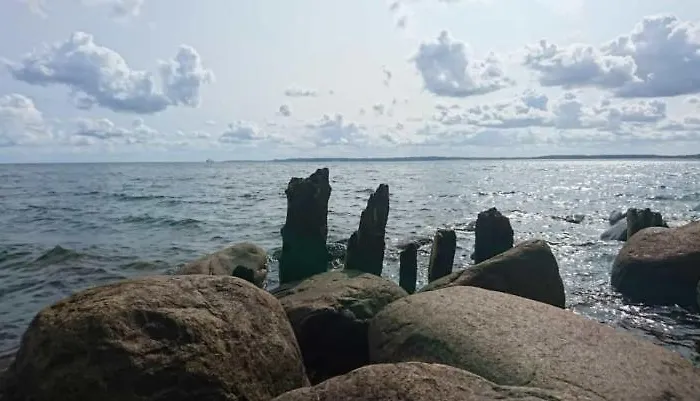 Naehe Altstadt * 사스니츠