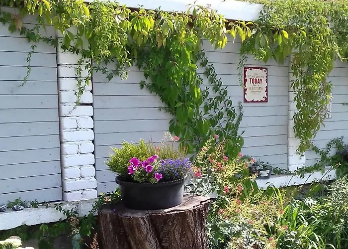 아파트 Naehe Altstadt 사스니츠