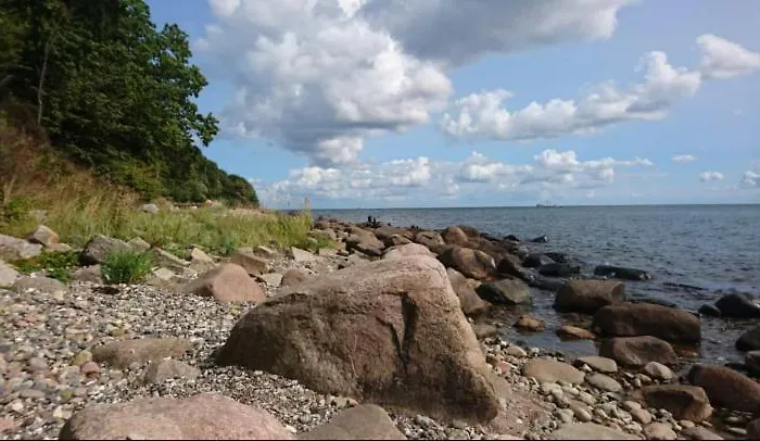 Naehe Altstadt 아파트